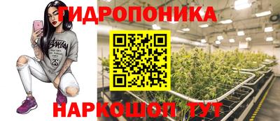 гашик Кинель
