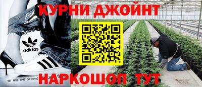 мдпв Коммунар