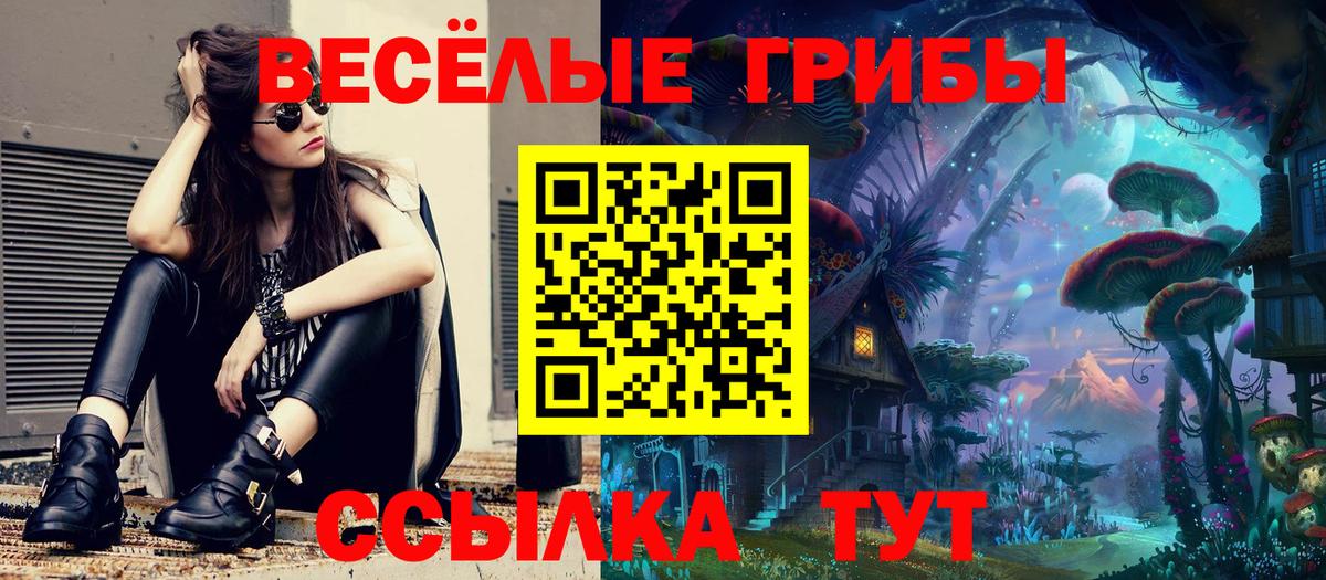 Псилоцибиновые грибы мицелий Кузнецк